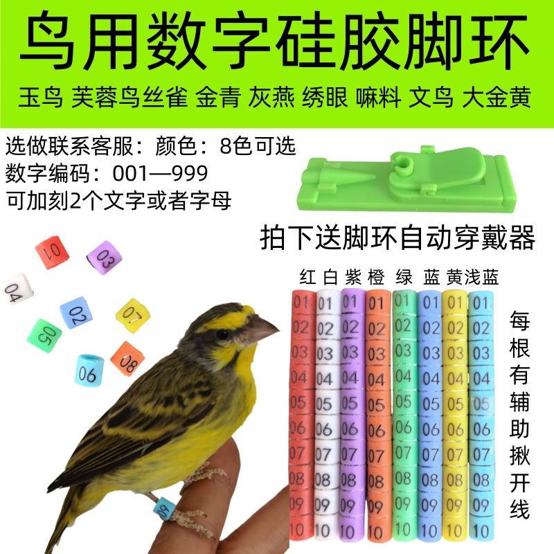 鸟用硅胶软脚环足环识别记号环玉鸟丝雀金青灰燕大金黄麻料绣眼