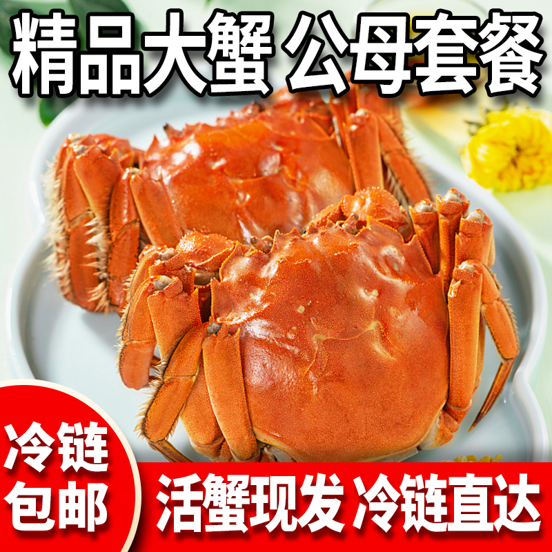 【活蟹】公蟹3.6-3.3两+母蟹3.0-2.7两（拍8送2发10只）大闸蟹包邮A