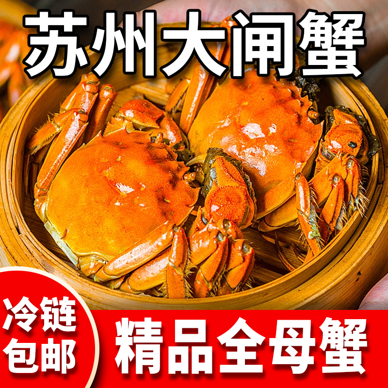活蟹顺丰包邮【拍8发10只】2.2两全母蟹苏州大闸蟹产地直发
