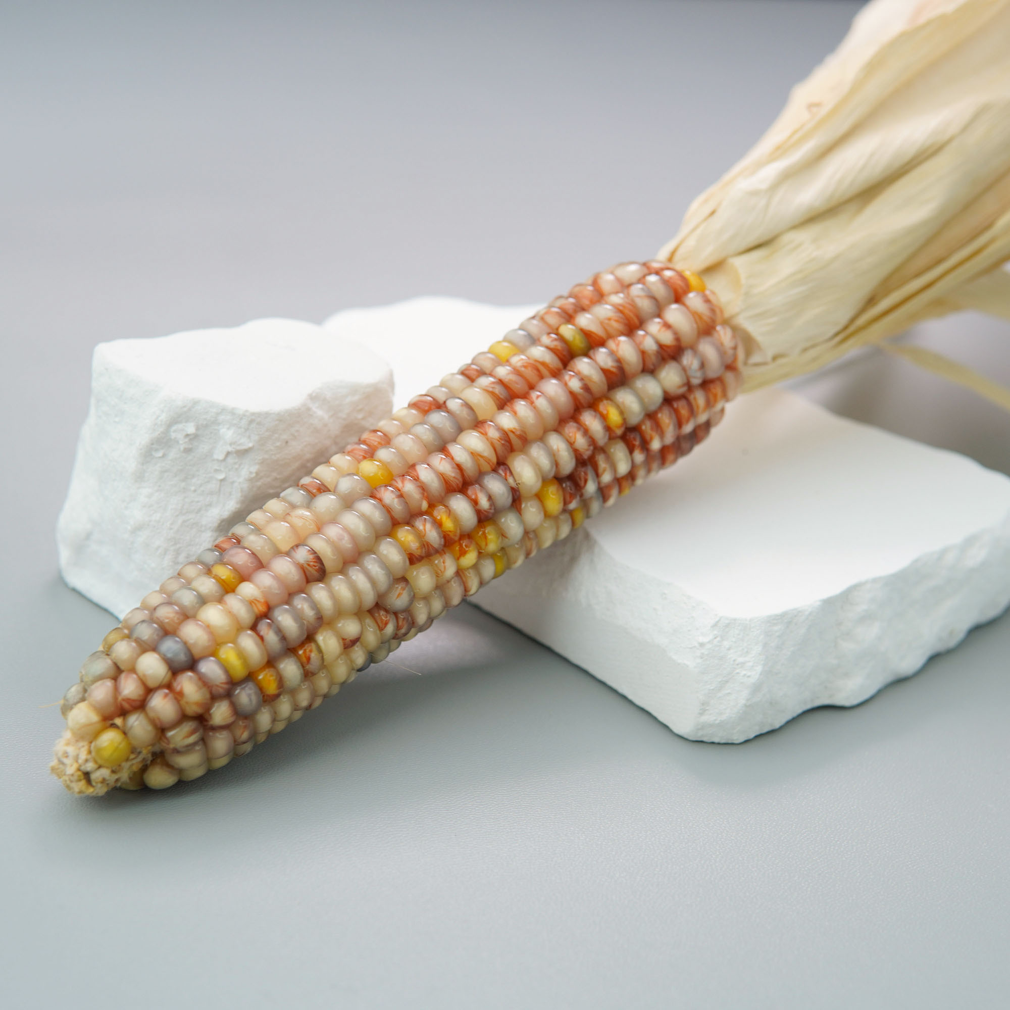 米花堂文玩玉米毛料DIY手工加工手玩件