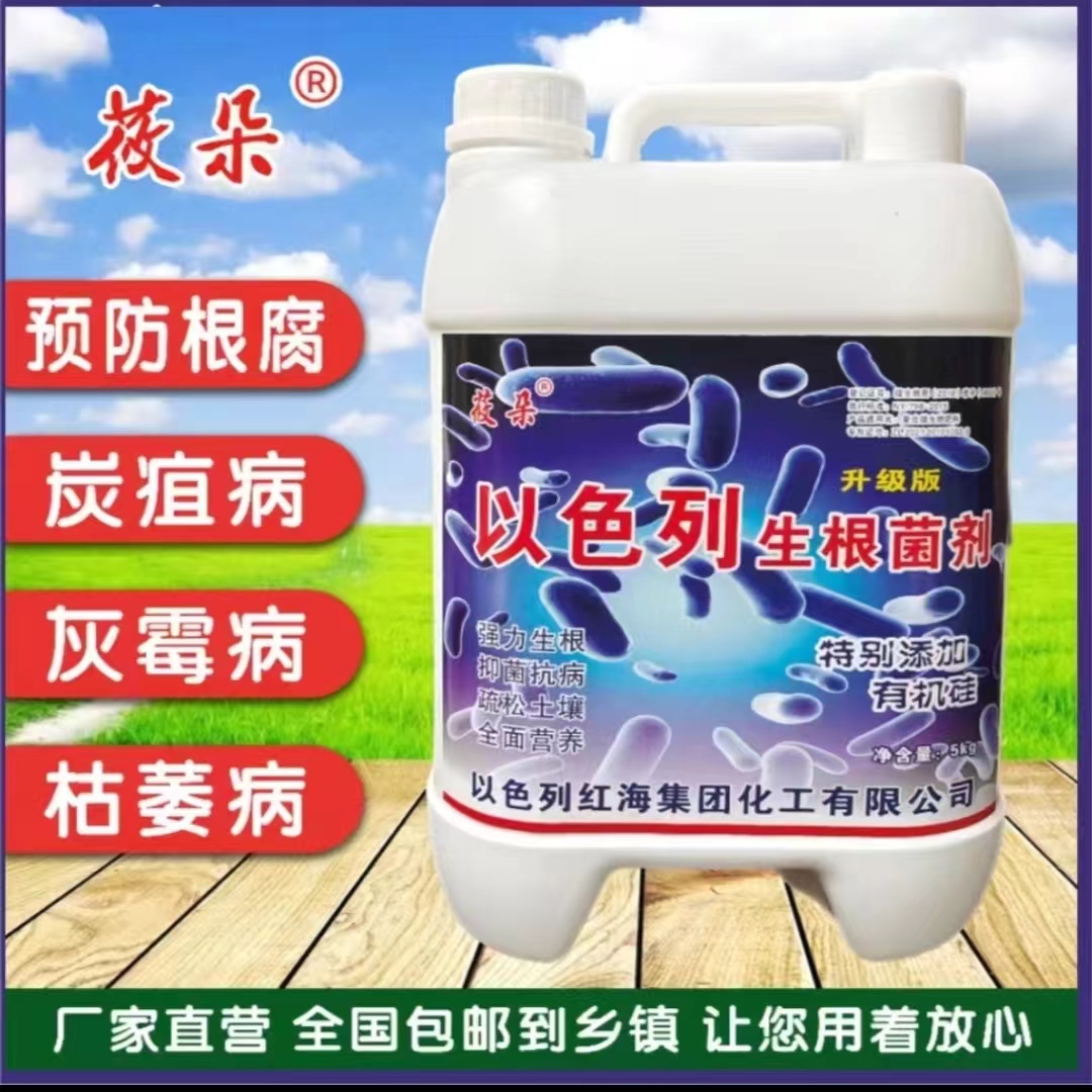 以色列生根菌剂适用于各种果树蔬菜花卉药材茶叶冲施滴灌均可