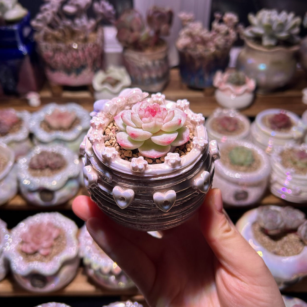 多肉花盆手工制作精美创意家居装饰