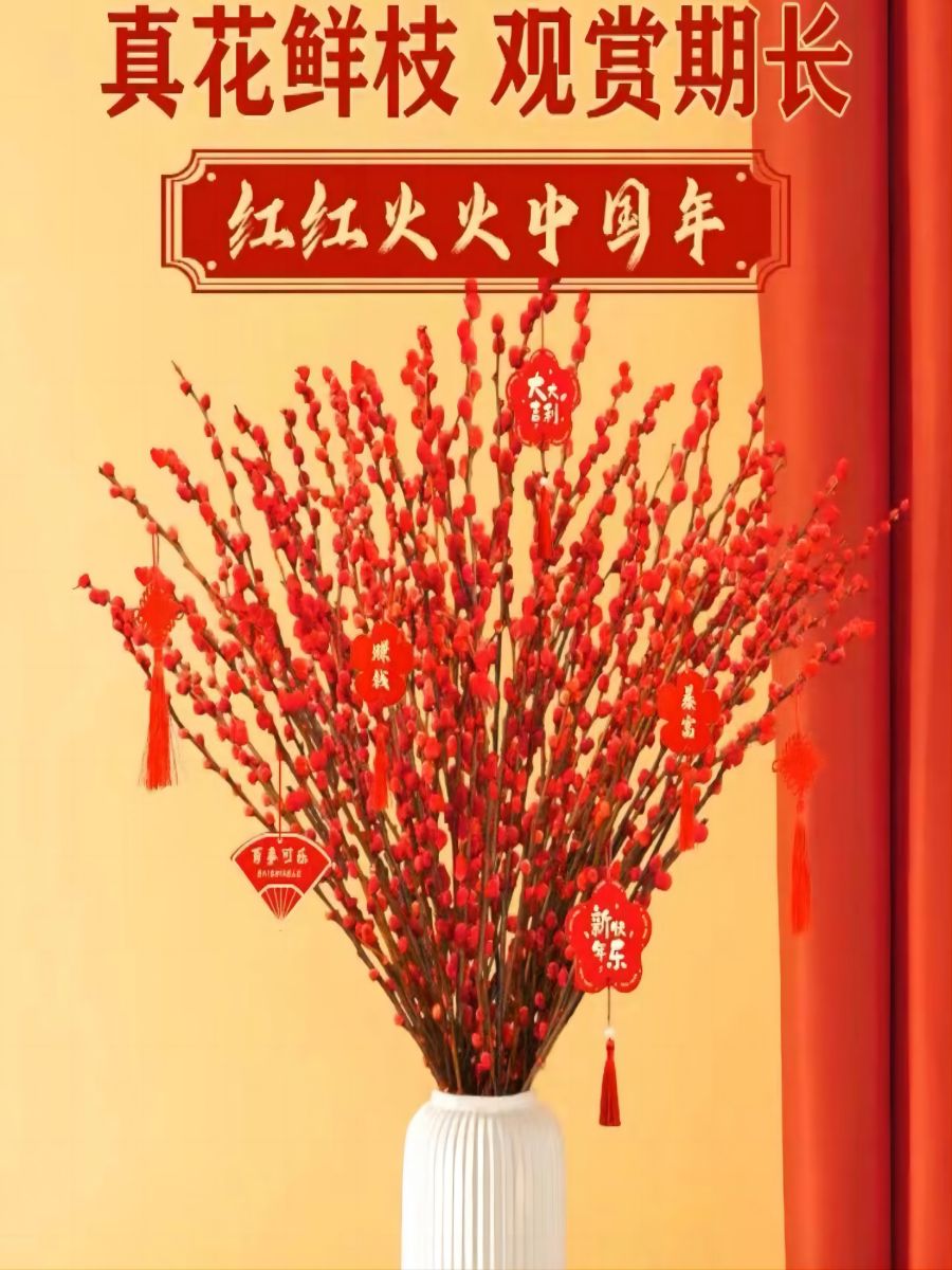 银柳真花鲜枝水培耐冬耐寒好养易活年宵花客厅室内装饰摆设福利