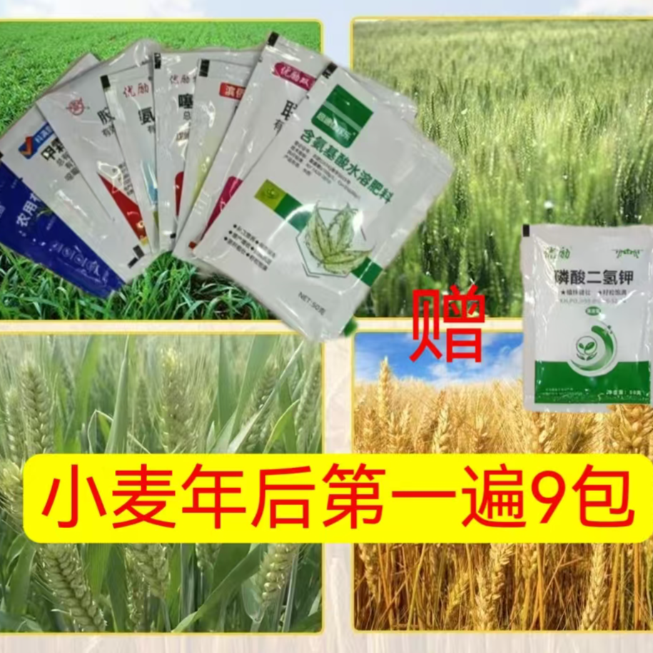 （一遍袋装）年后虫病双防根腐病红蜘蛛蚜虫壮苗叶面喷施肥料