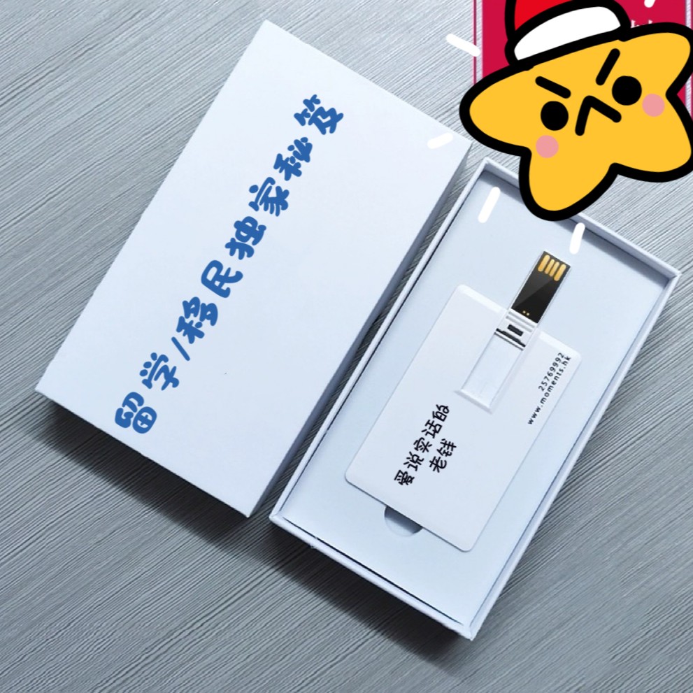 设计感13G咨询超全留学U盘