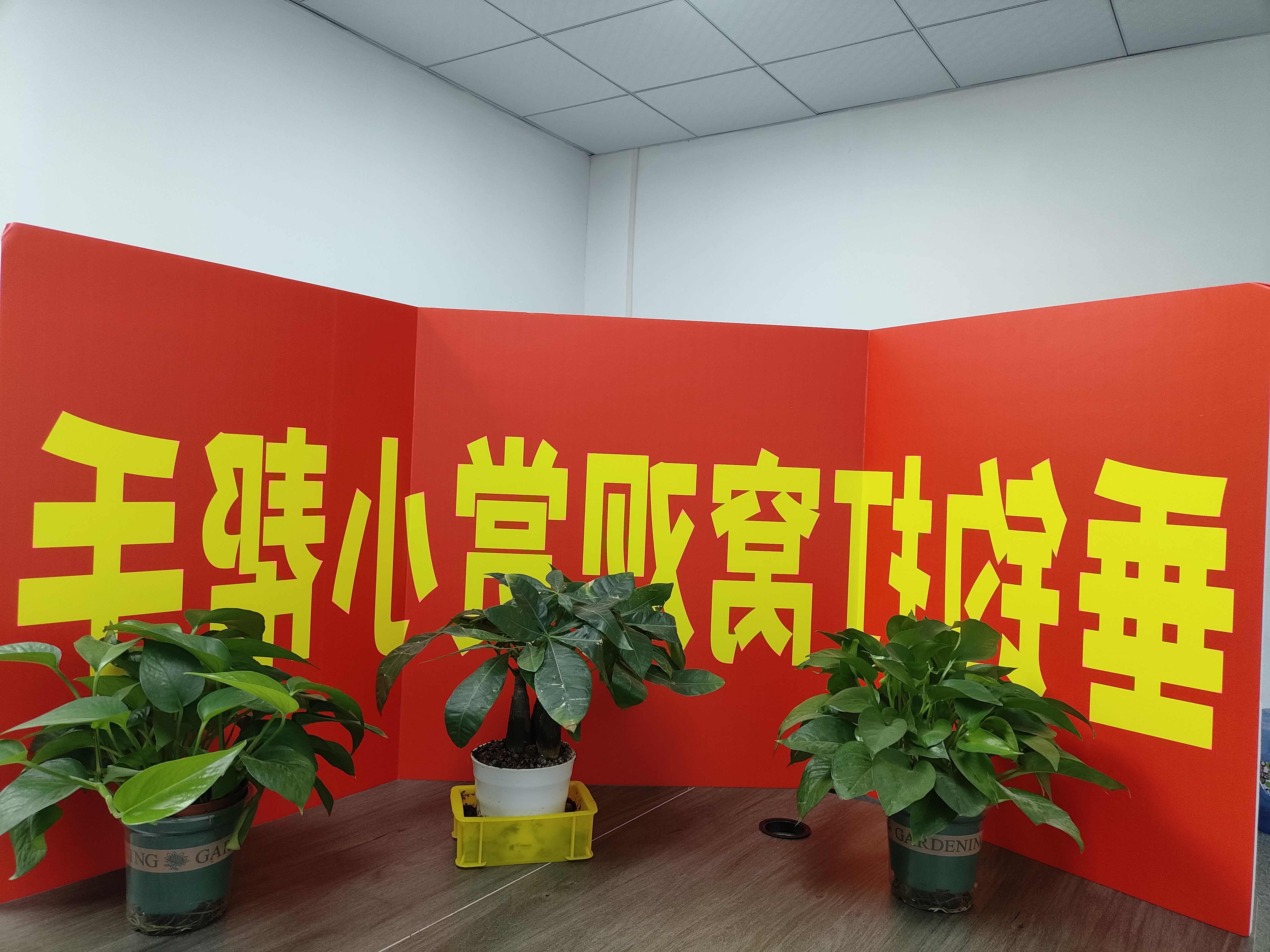 观赏性直播养殖验收LED屏检测仪