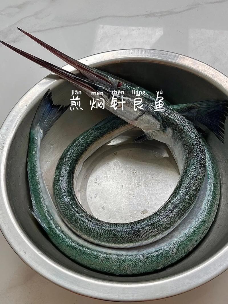 连云港发货针良鱼6斤