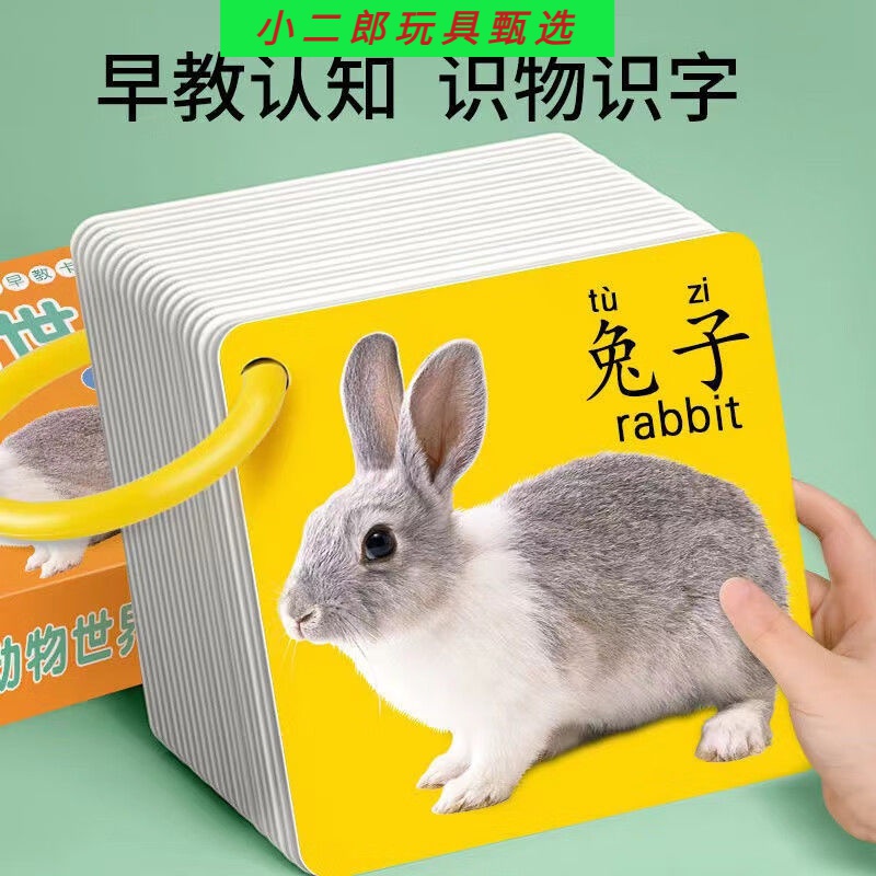 新疆包邮启蒙幼儿早教书认知卡撕不烂宝宝认字颜色识别卡颜色英语