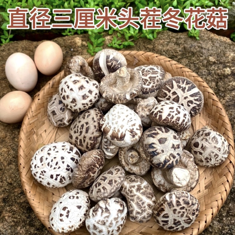 随州花菇干品直径3厘米左右500克营养香菇肉汁肥厚鲜嫩爽口