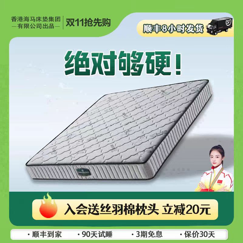 床垫席20cm厚家用卧室租房专用独立弹簧椰棕软垫