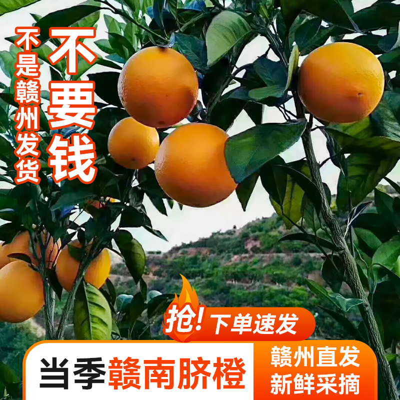【5/10斤装】赣南脐橙原产地新鲜水果江西赣州当季手剥甜橙子果冻橙