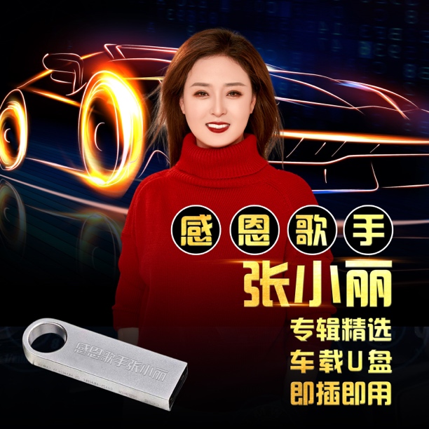 张小丽车载音乐合集