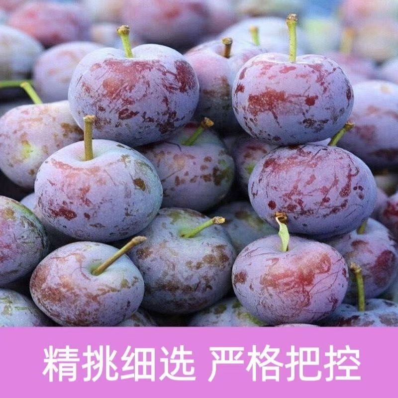 【正宗脱骨李】四川高原脱骨李脆脆红李新鲜水果脆甜现摘现发8斤装