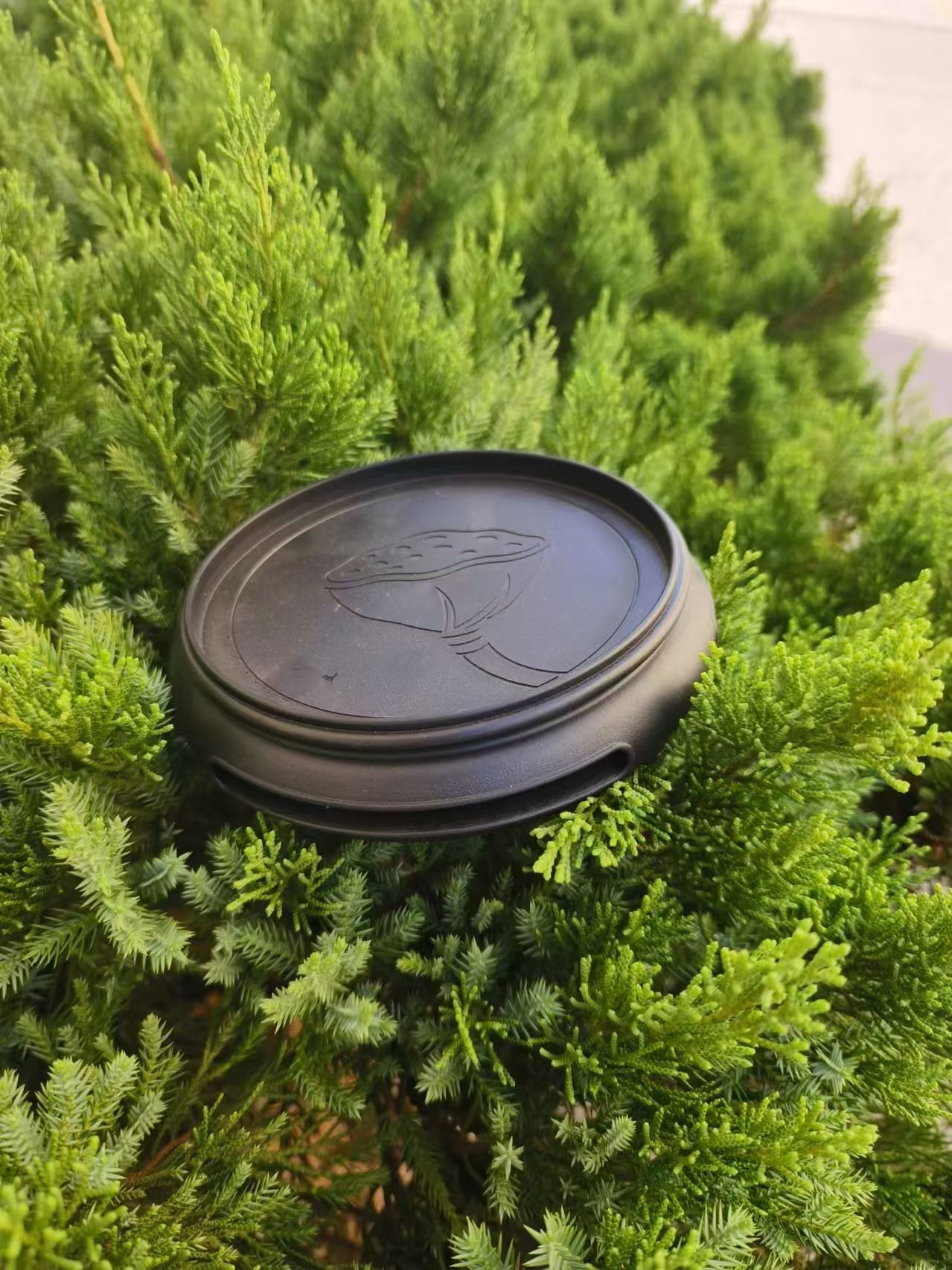 底座水底接水盘加厚树脂花盆清仓捡漏大号