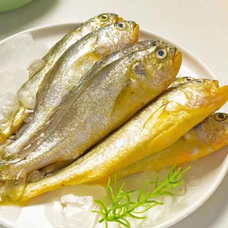 东海野生小黄鱼 10条一斤 连云港发货 野生小黄鱼 京东顺丰快递