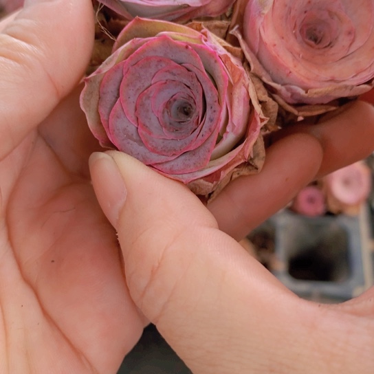 845一筐多品种小批量