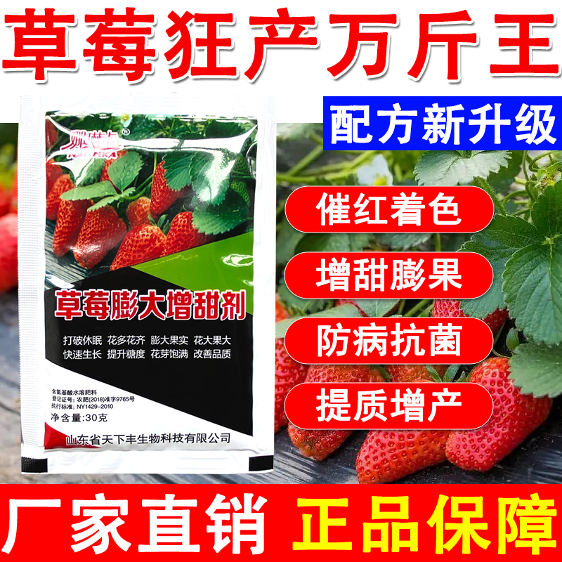 草莓肥料草莓专用叶面肥草莓叶面肥草莓速长肥料草莓猛长草莓增产