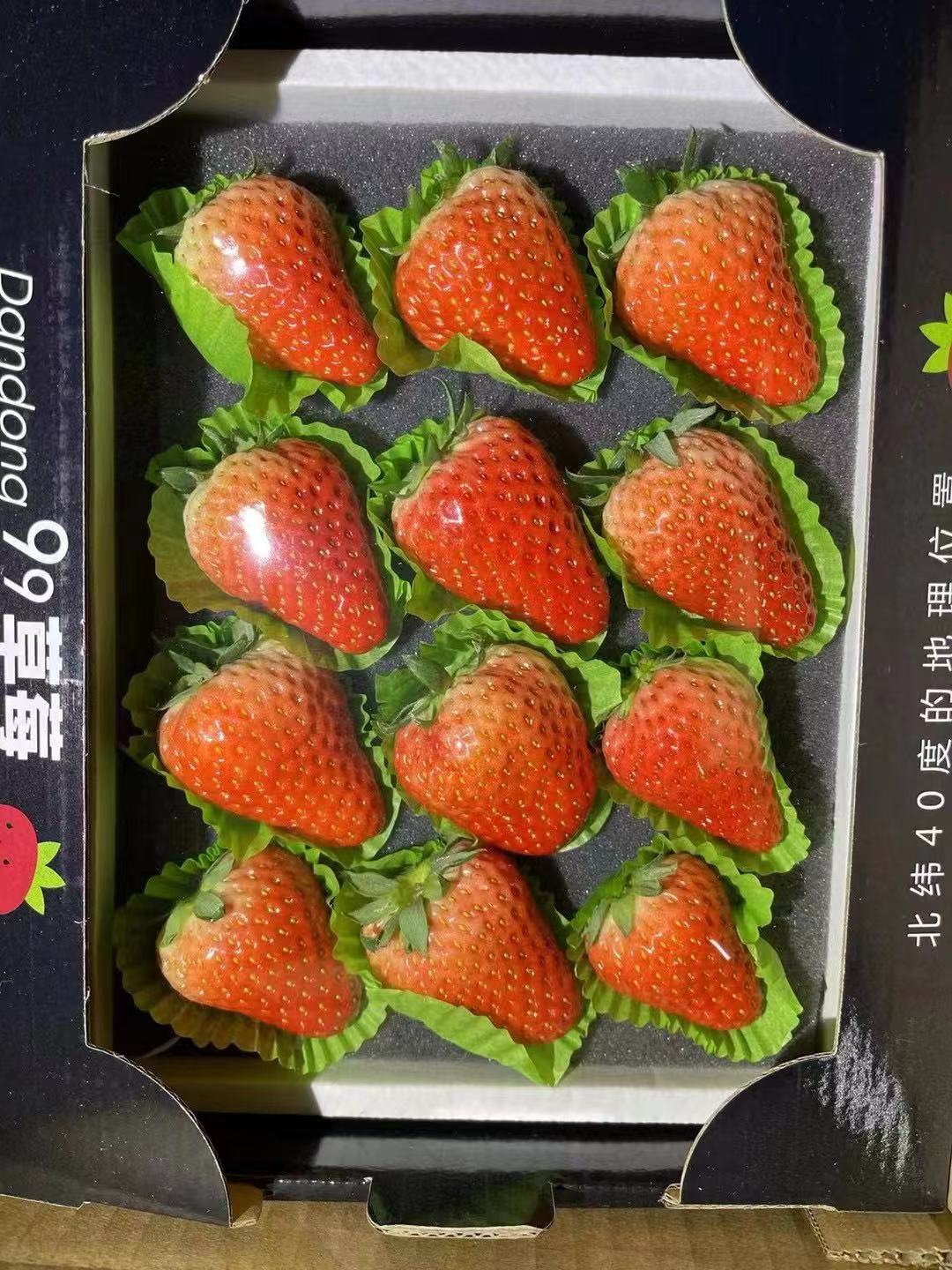 丹东九九草莓一盒