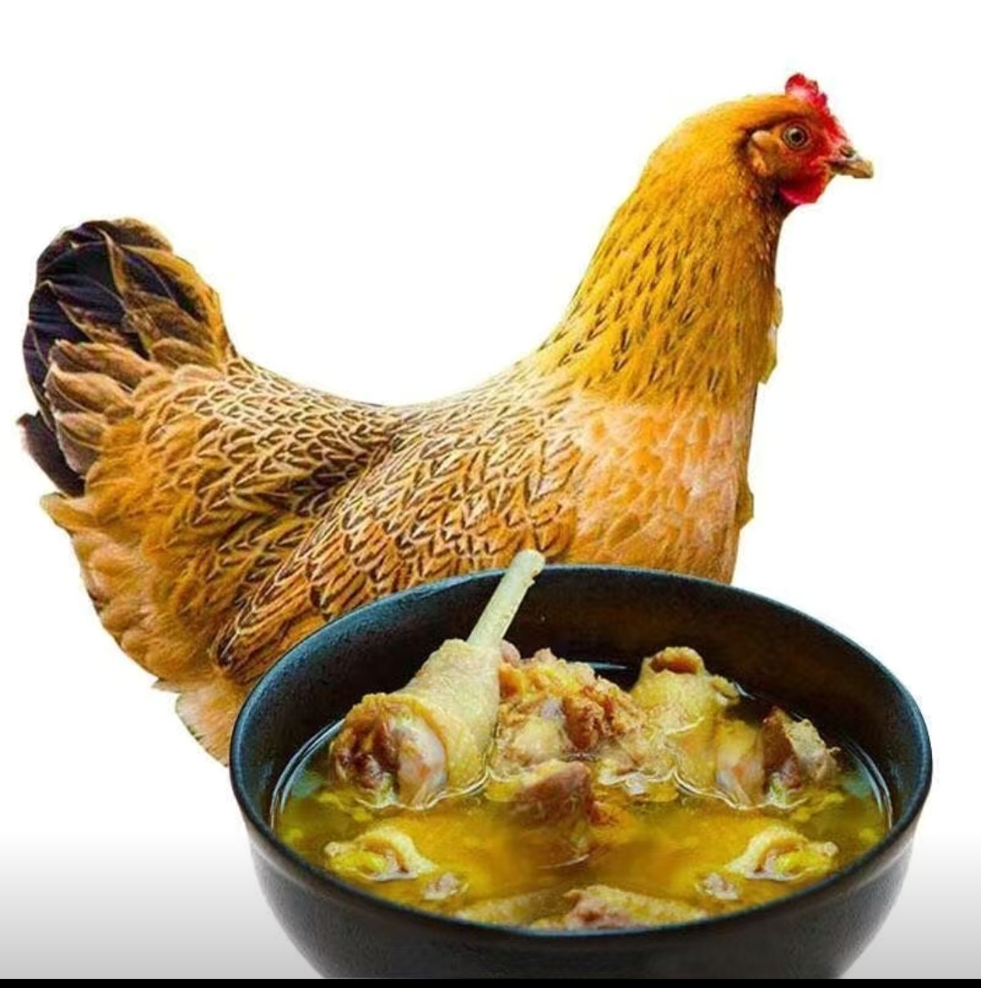 散养正宗老母鸡顺丰冷链包邮