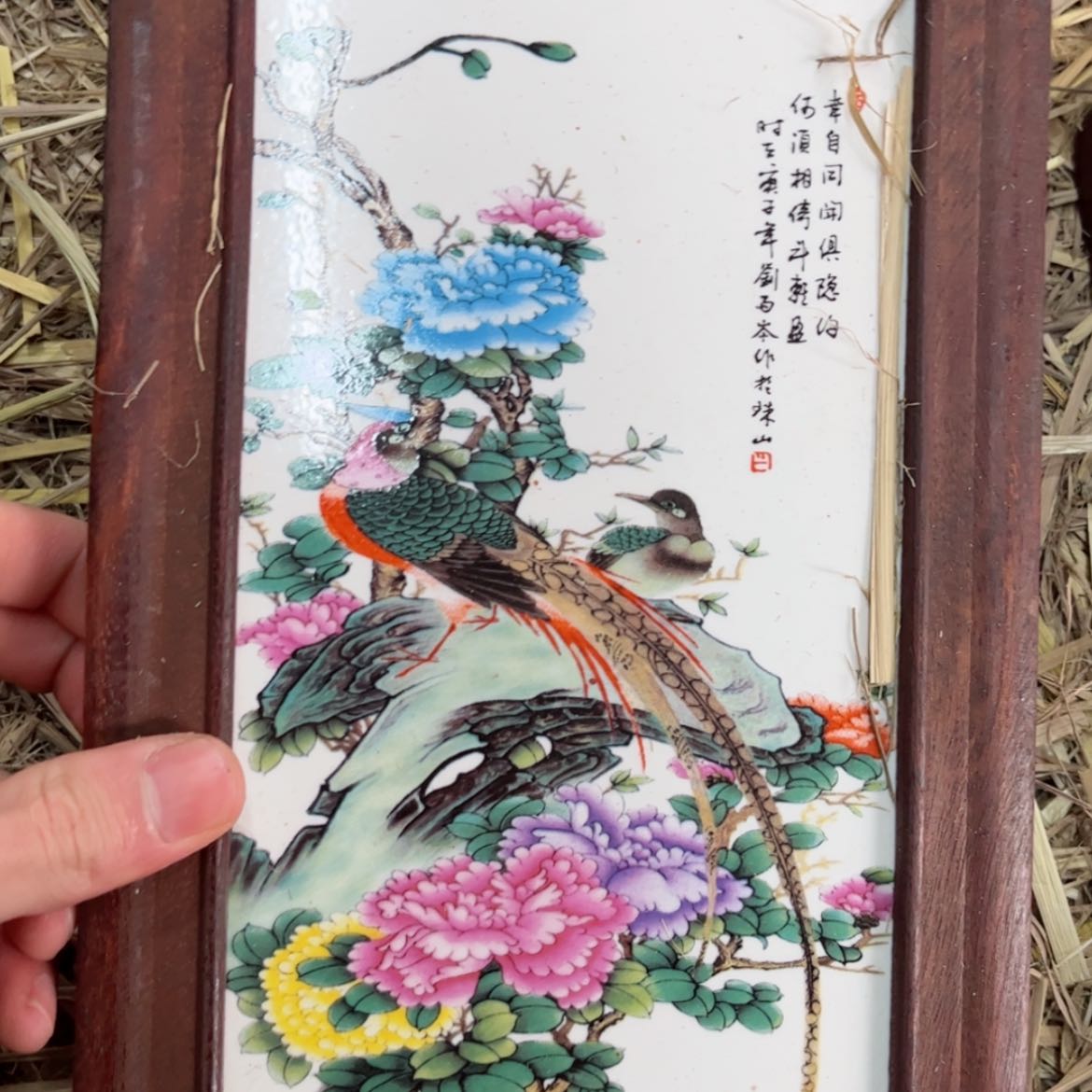 【闪购商品】瓷瓷片