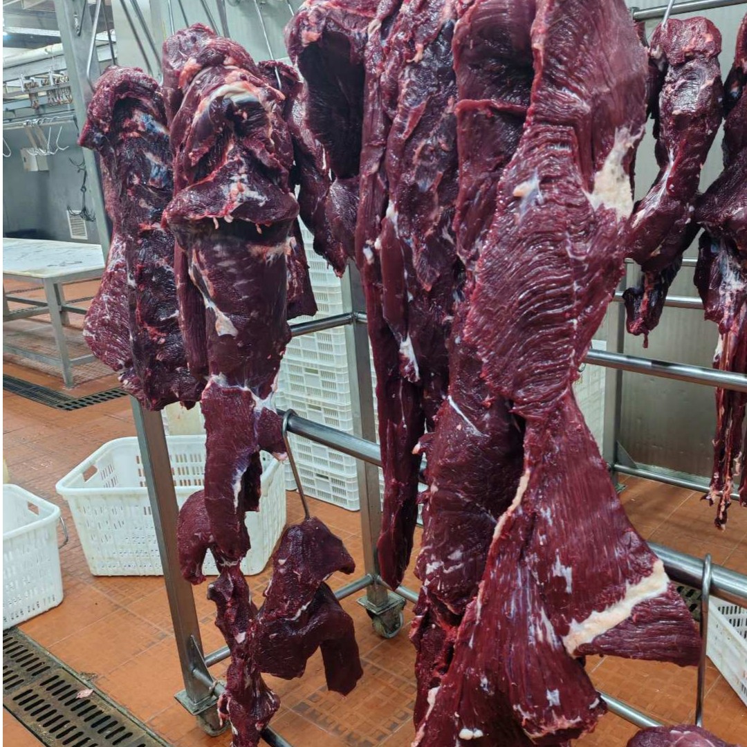 新鲜黄牛肉 半斤炒/肉馅/牛肉干/不适合炖