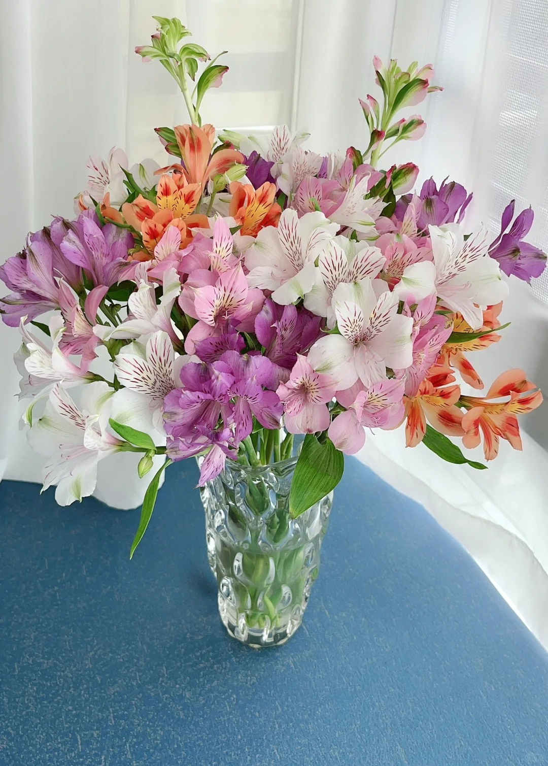 【大聪明卖花】六初花-任意2单鲜花包邮 发货后不支持退款-新年福利