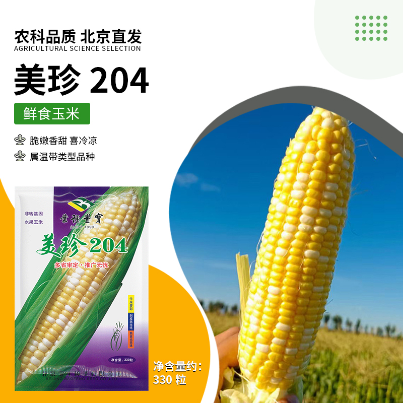 【农科院推荐】黄白水果玉米种子超甜水果玉米鲜食玉米种子玉米种籽