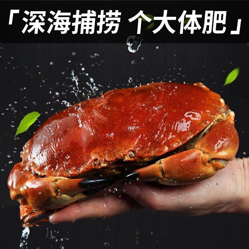 鲜活面包蟹 （肉质鲜美）宁夏银川包邮包活