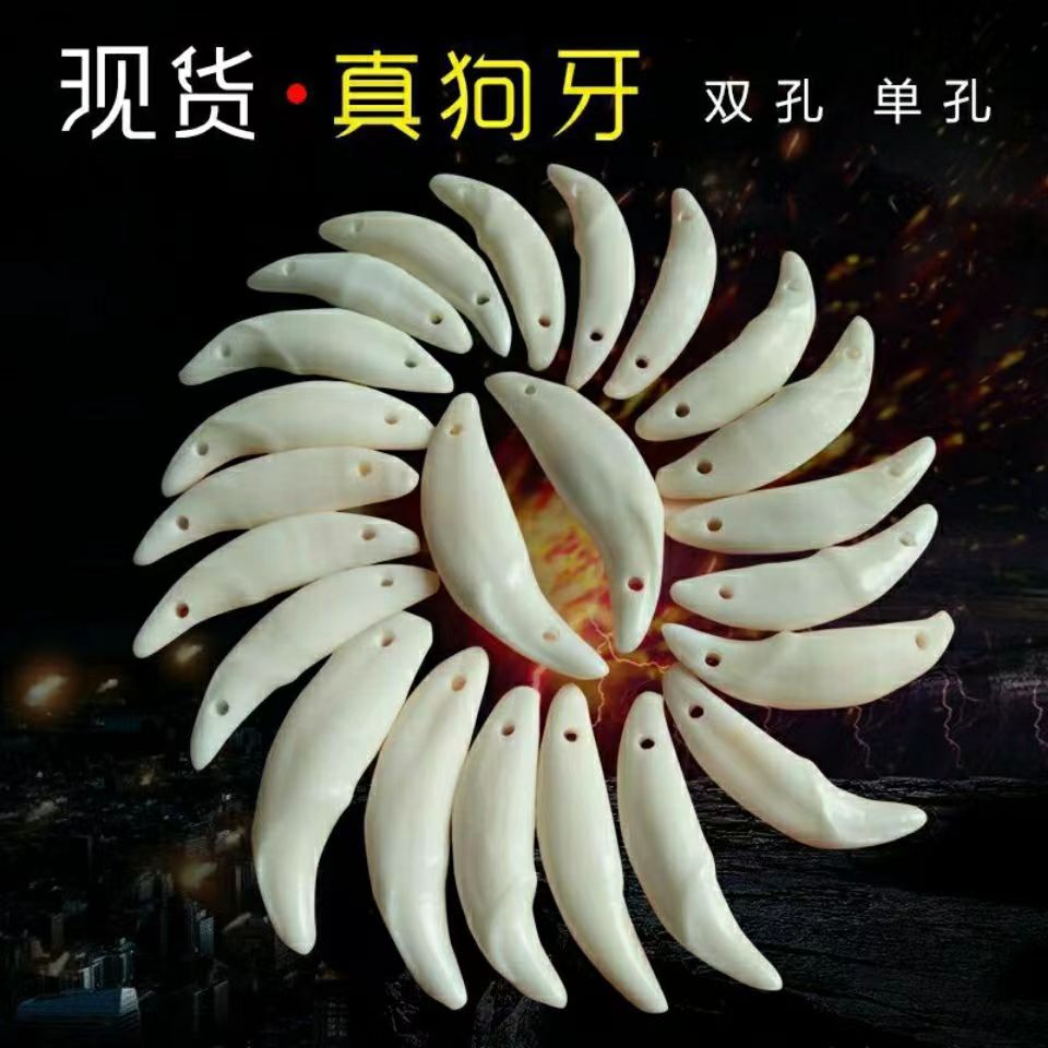 非金属布艺吊坠 真黑狗牙吊坠单孔双孔真狗牙护身挂件宝宝幼儿挂