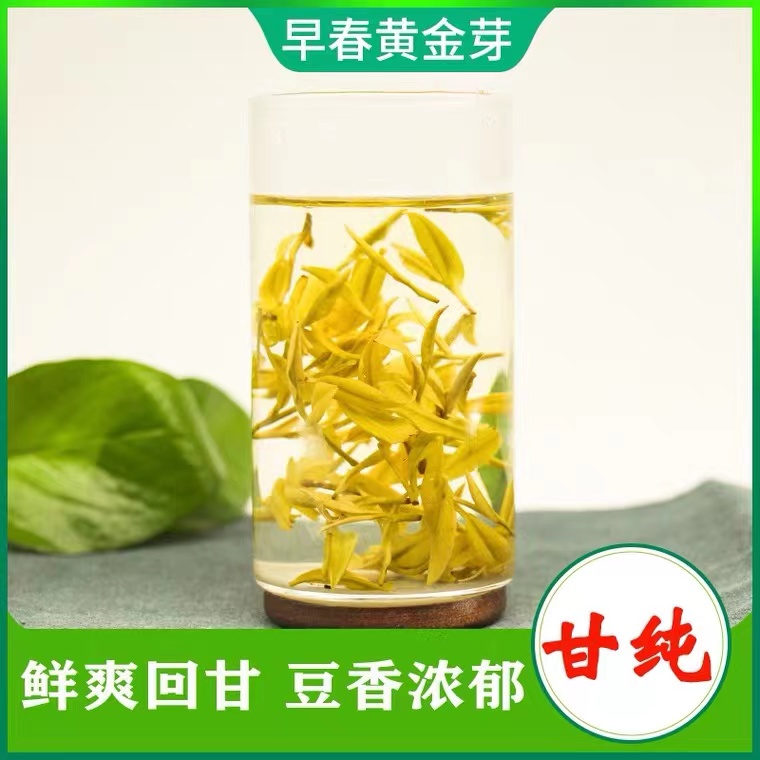 『2025年新茶』2025年明前高山黄金芽H258（豆香/偏浓）250g/500g