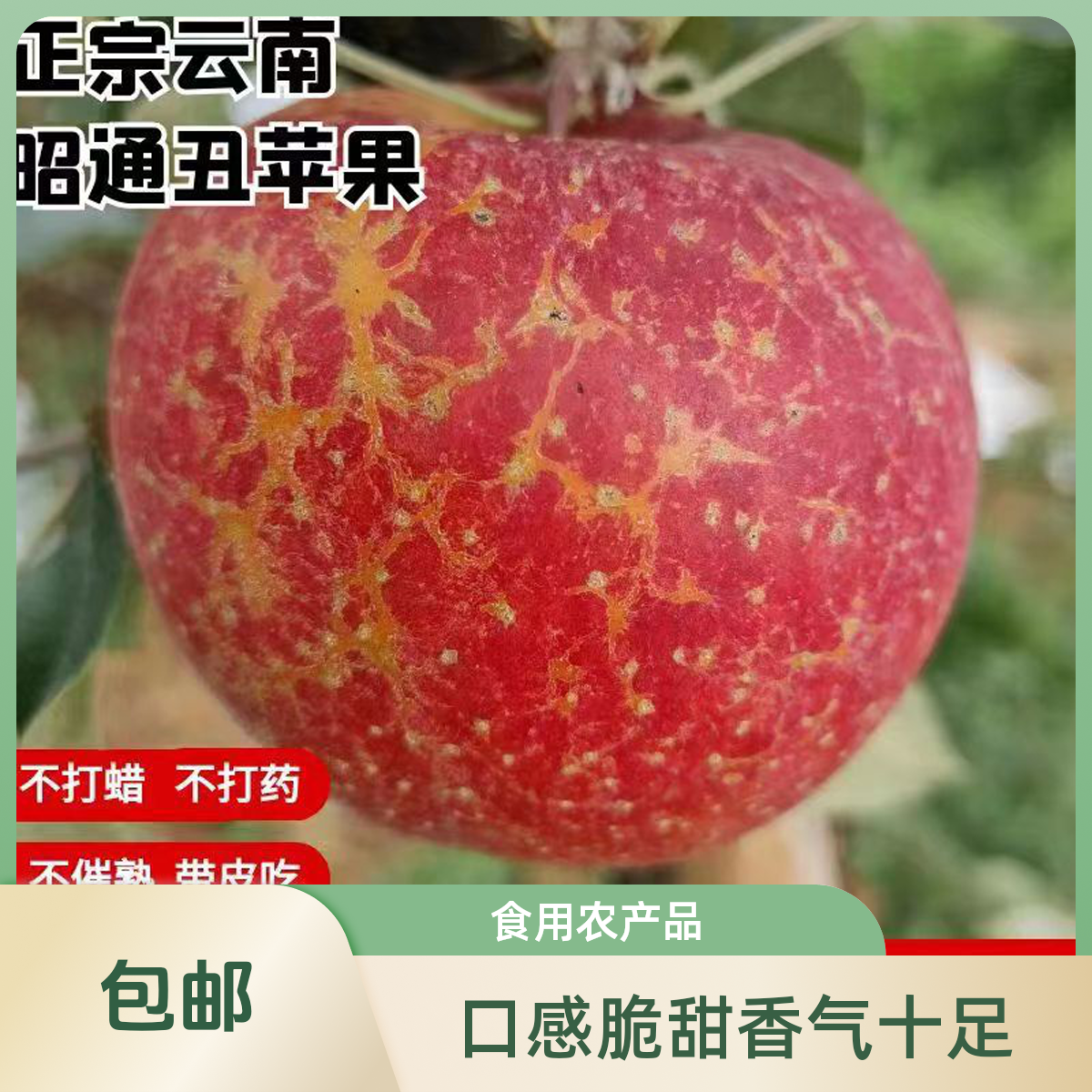 正宗农家云南昭通苹果冰糖心新鲜农家纯甜多汁2/5/10斤丑苹果包邮