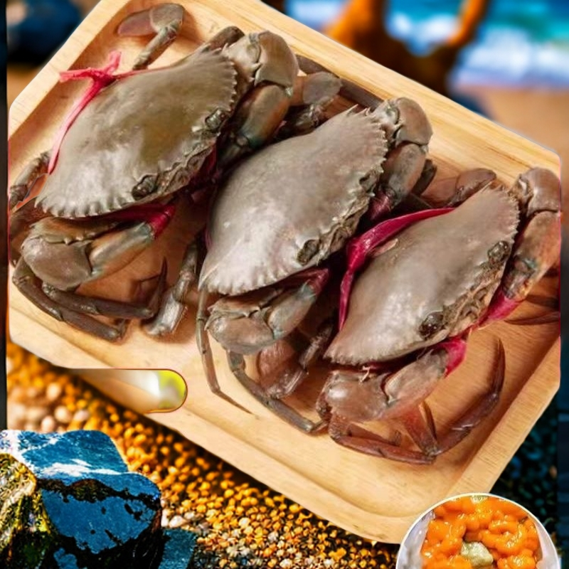 【包活】红膏蟹青蟹母蟹有膏有肉多种规格