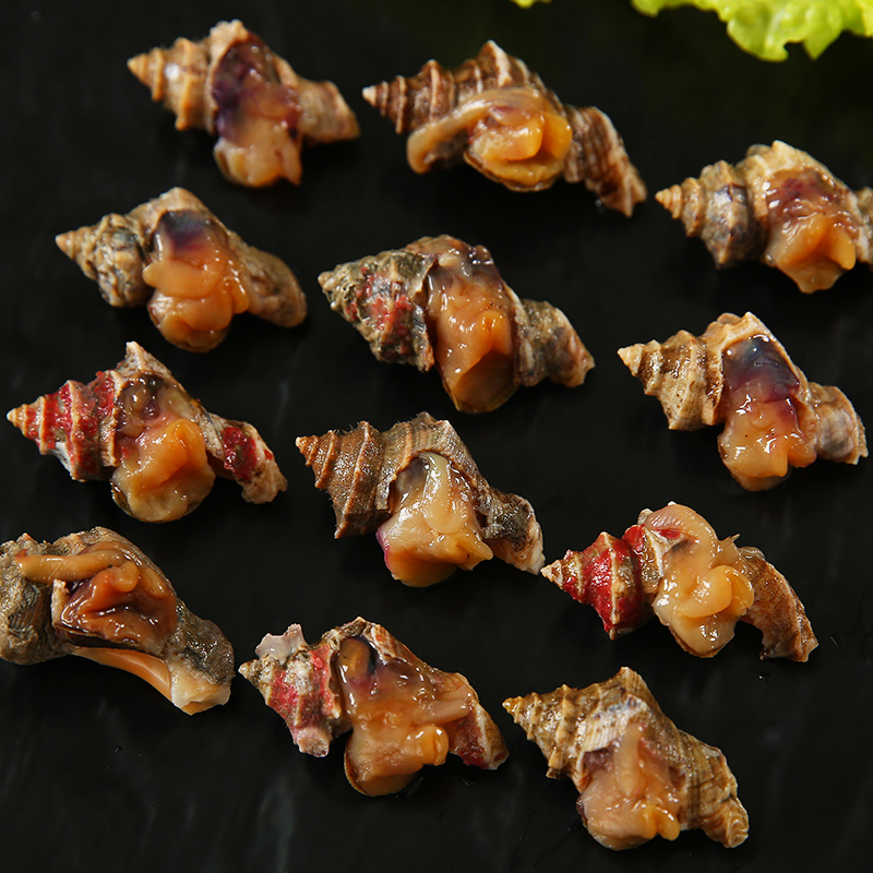 正宗温州辣螺肉 醉海螺开瓶即食600g 腌制海鲜水产华湫津味鲜