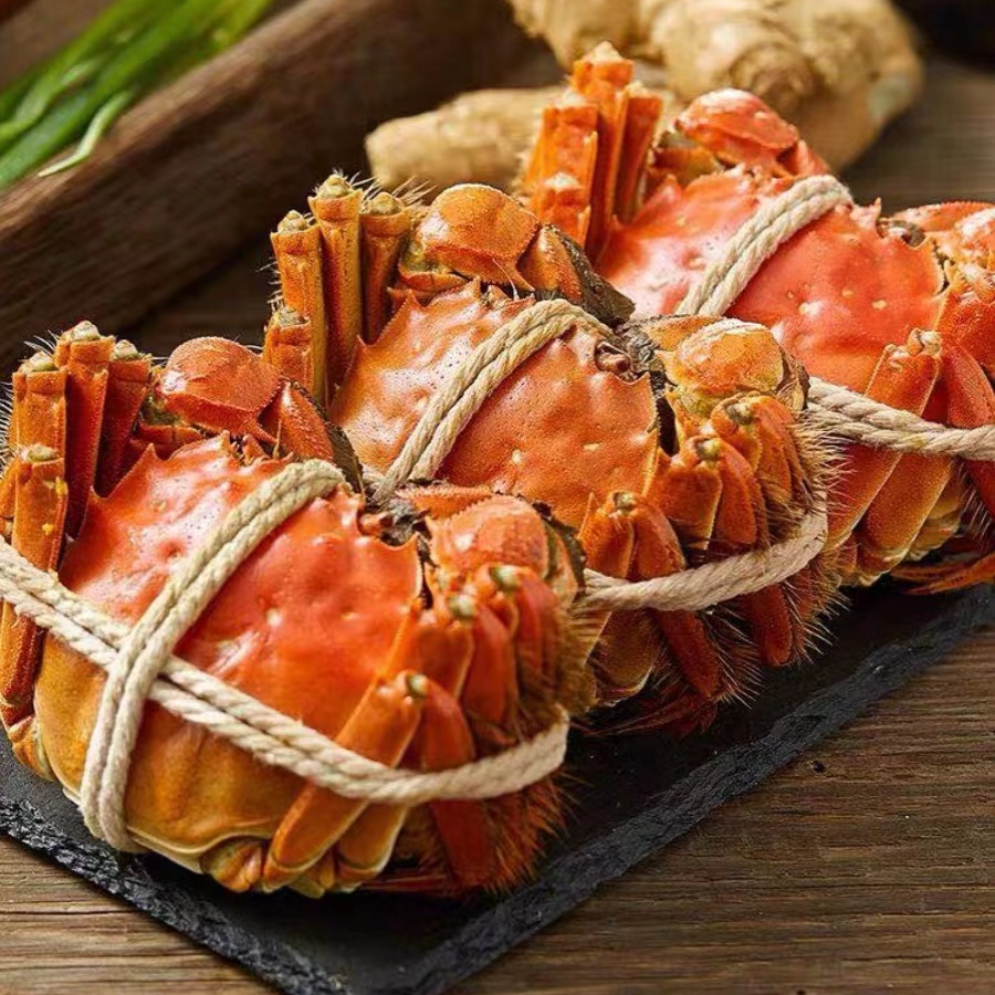 【活蟹现发】苏州精品大闸蟹公5.0-4.7两 母4.0-3.7两8只+2只礼盒装