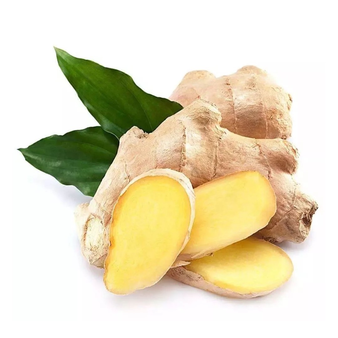 新鲜生姜  约50g/份小黄姜云南小黄姜优质农产品