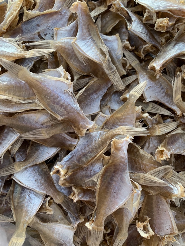 汕尾马宫 本港剥皮鱼干迪仔干马面鱼干微咸新鲜晾晒干潮汕口味