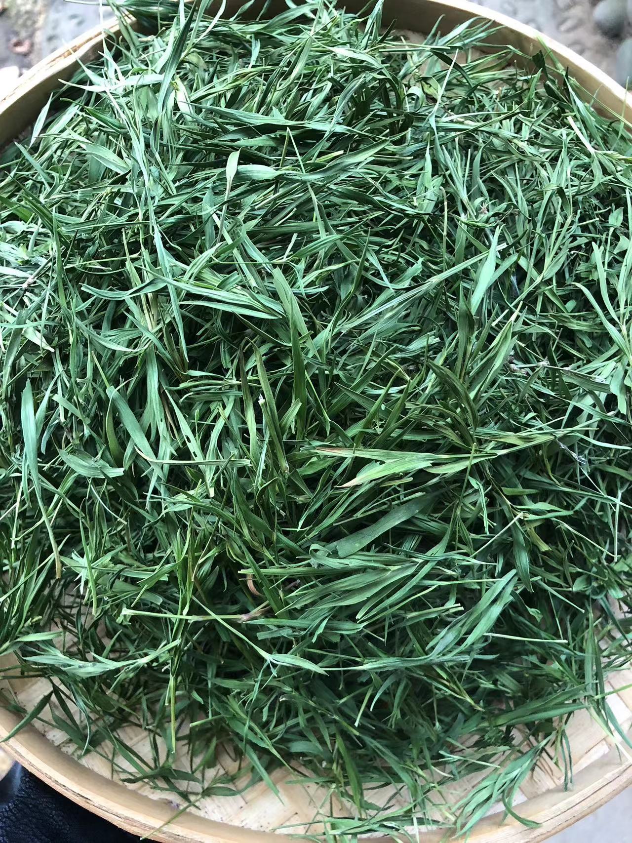 C【土特产】雪-域-冰-竹 净含量250g-500g
