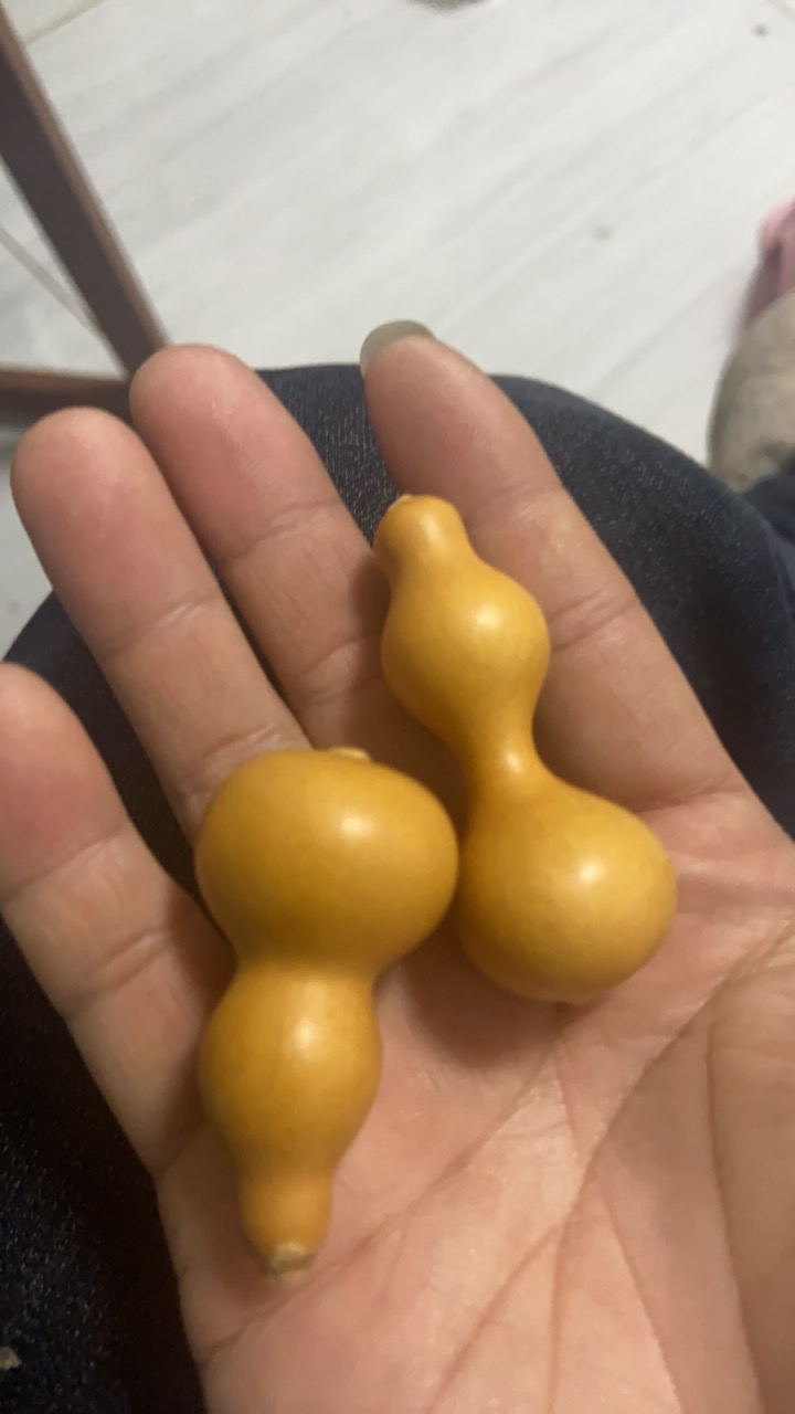 收到葫芦如有残损可自行找快递理赔