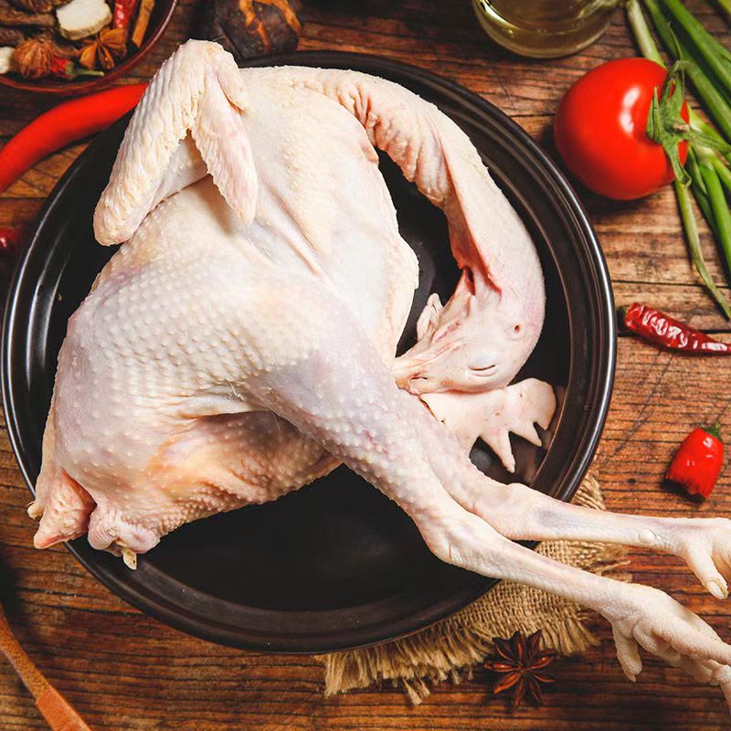 （果果妞代买）海陵岛农家山林散养跑山鸡果园鸡现杀海鸭草鹅