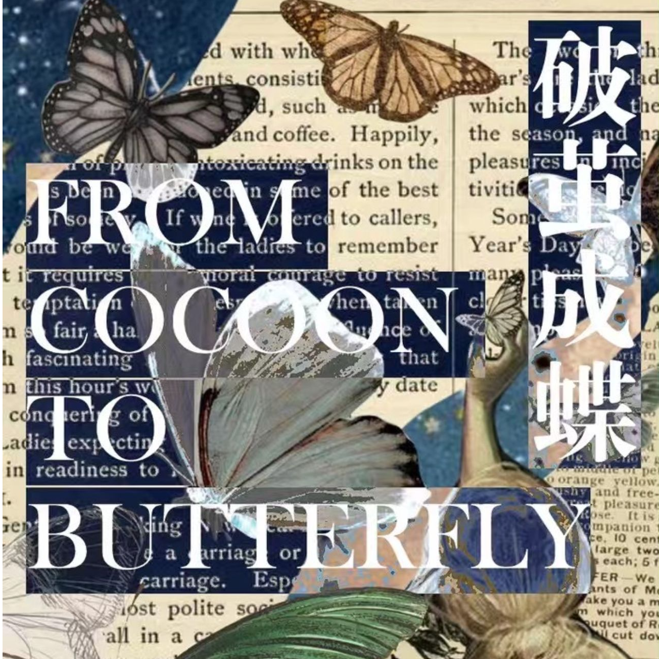 【N】造物集工作室破茧成蝶系列标本盲盒