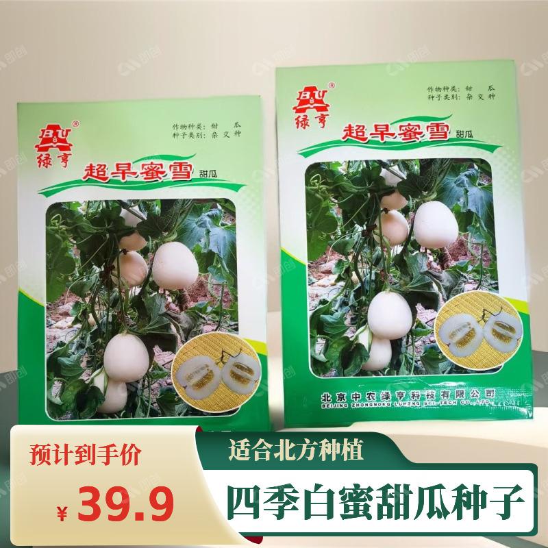 白蜜甜瓜香瓜种子超甜品质四季北方水果白皮瓜种大全种籽孑甜瓜子