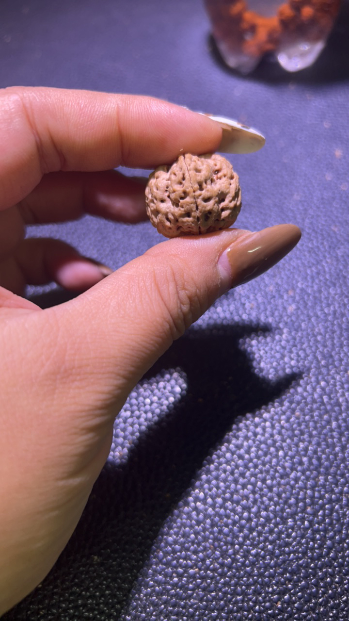 随拍随改链接金刚菩提21尺龙抓梅花超头