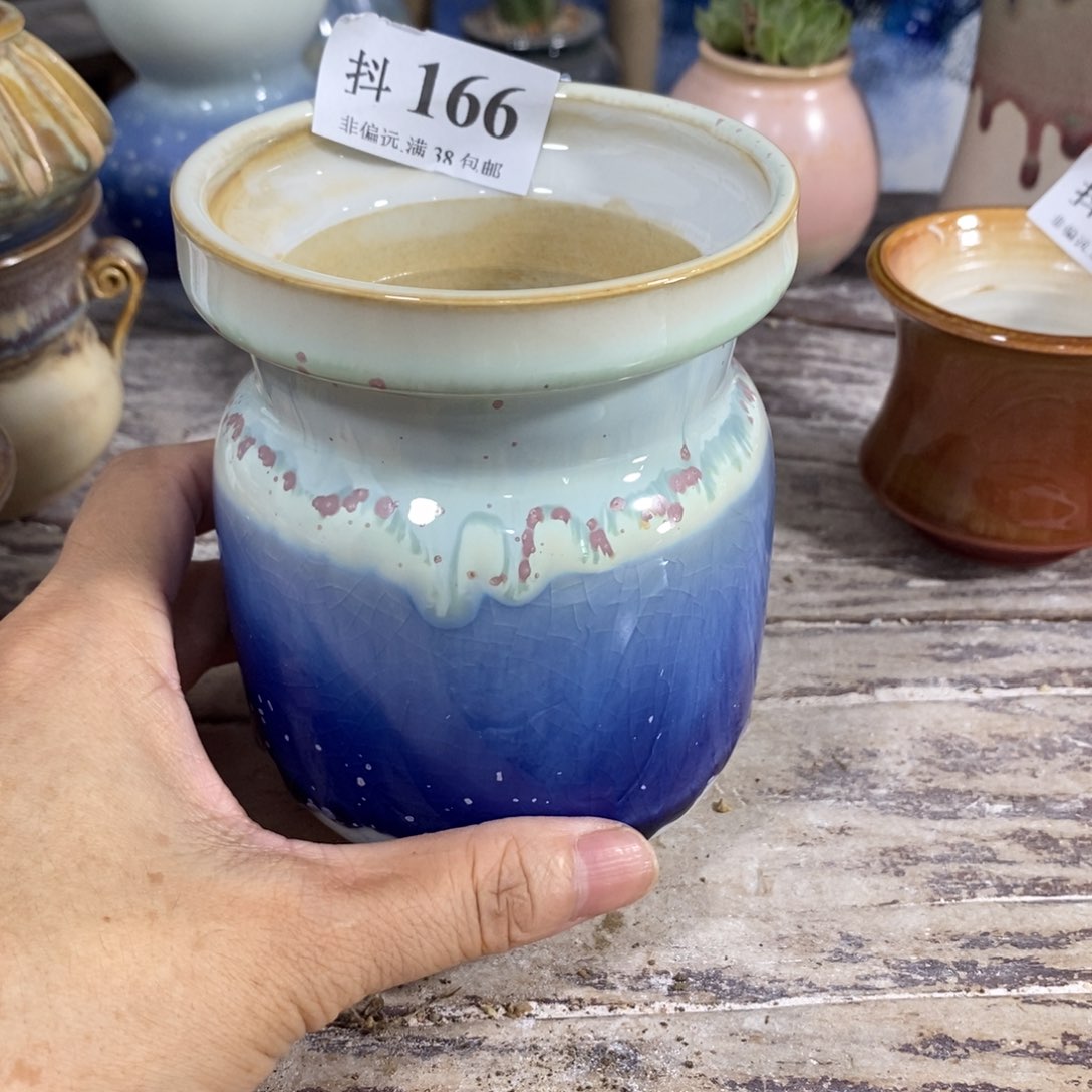 红陶20CM（含）-50CM（不含）福利