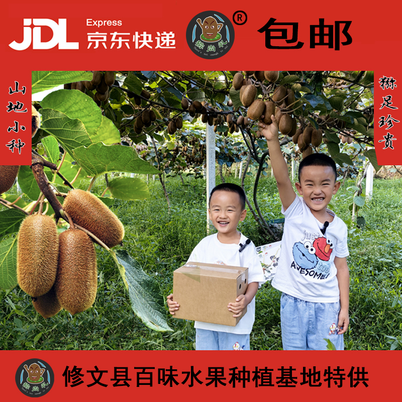5斤中大果修文猕猴桃