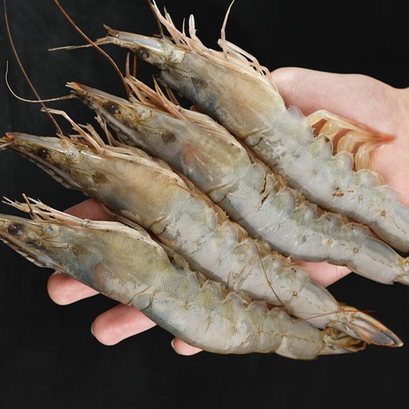 南美大虾30-40 （箱/三斤左右）仅限大同平城区云冈区可拍）