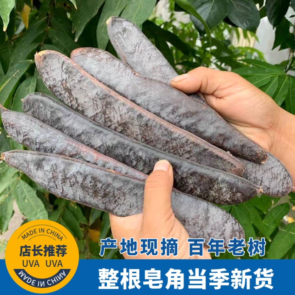 新货皂角皂角粉皂角洗头皂角段天然大皂角长皂角