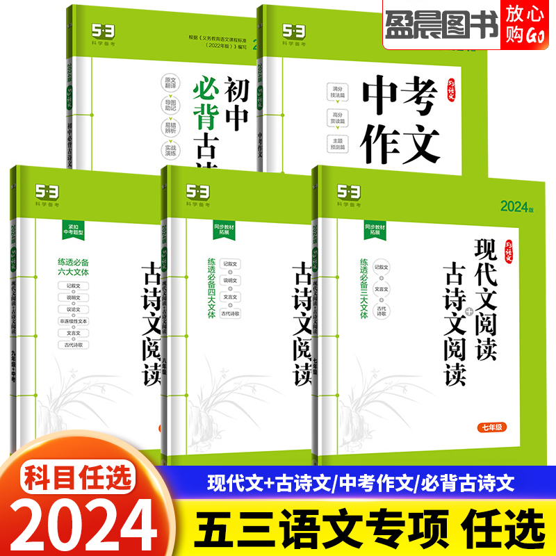 53语文初中七八九年级现代文阅读古诗文阅读中考满分作文
