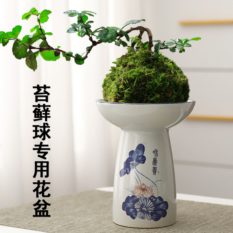 苔藓球专用青花陶瓷花盆中式桌面摆件水培无孔米竹巴西木器皿盆托