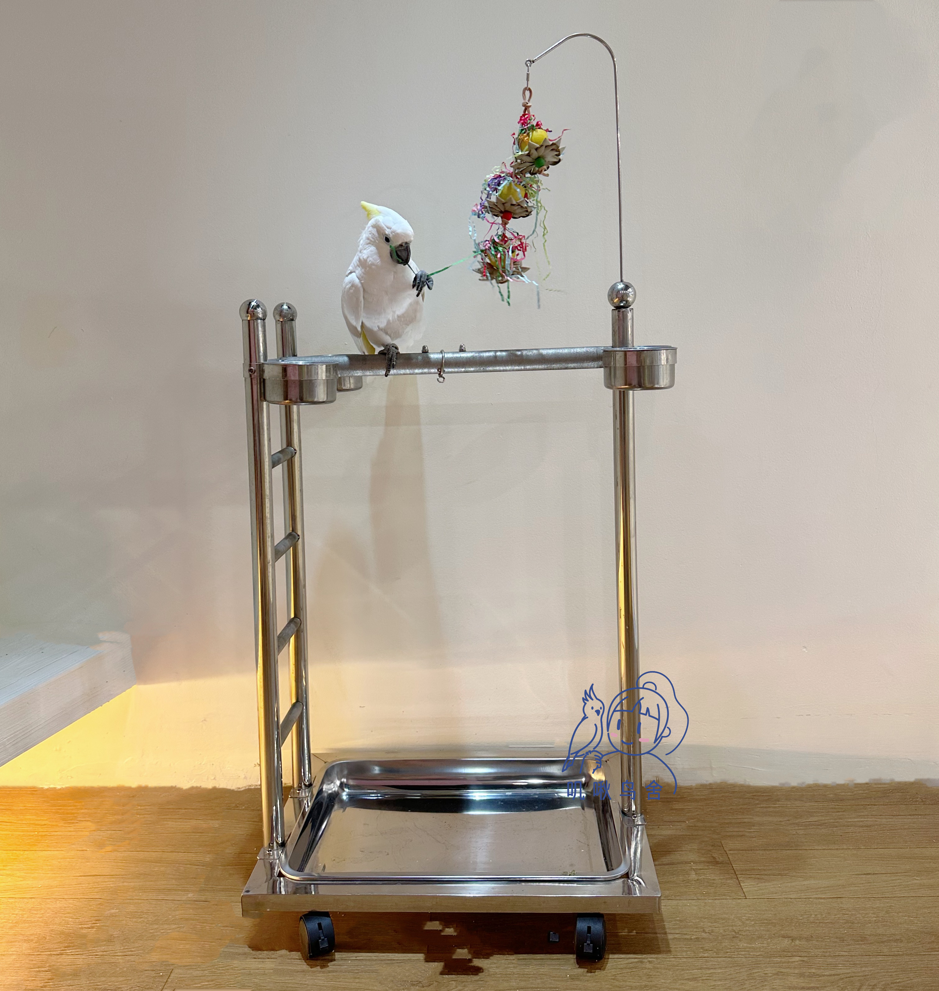 中大型不锈钢站架 磨爪能力强 结实牢固 带楼梯款