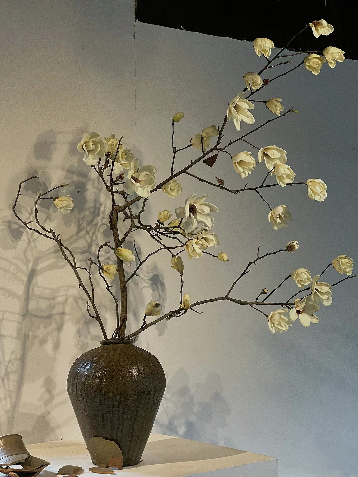 玉兰花—鲜切水培—可做干花—昆明斗南直发家用